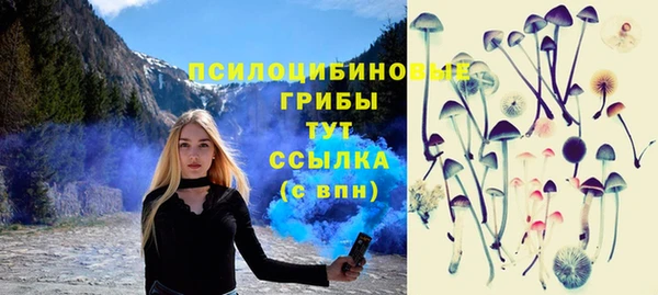 прущая мука Богданович