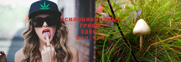 дурь Богородицк
