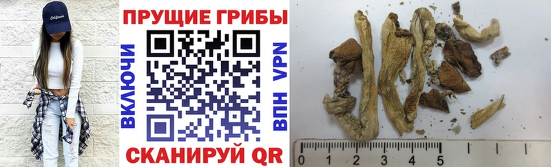 Псилоцибиновые грибы ЛСД  как найти наркотики  Дальнереченск 